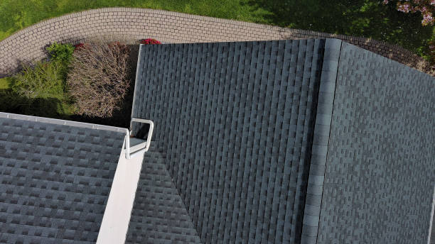 Best Roof Moss and Algae Removal  in Kingsport, TN