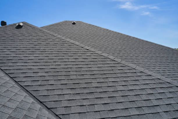 Best Roof Coating and Sealing  in Kingsport, TN